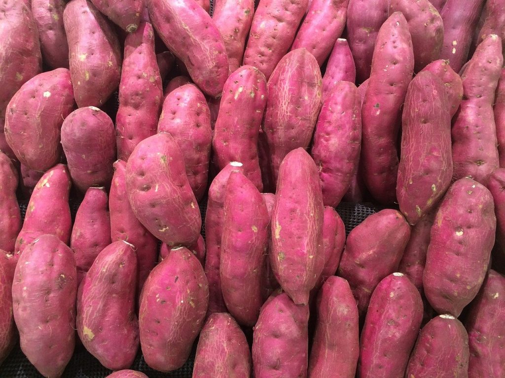 Khoai Lang Hàng Nông Sản 1 KG SẢN PHẨM MẪU KHÔNG BÁN