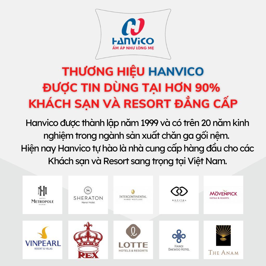 Ruột gối ôm Hanvico cao cấp