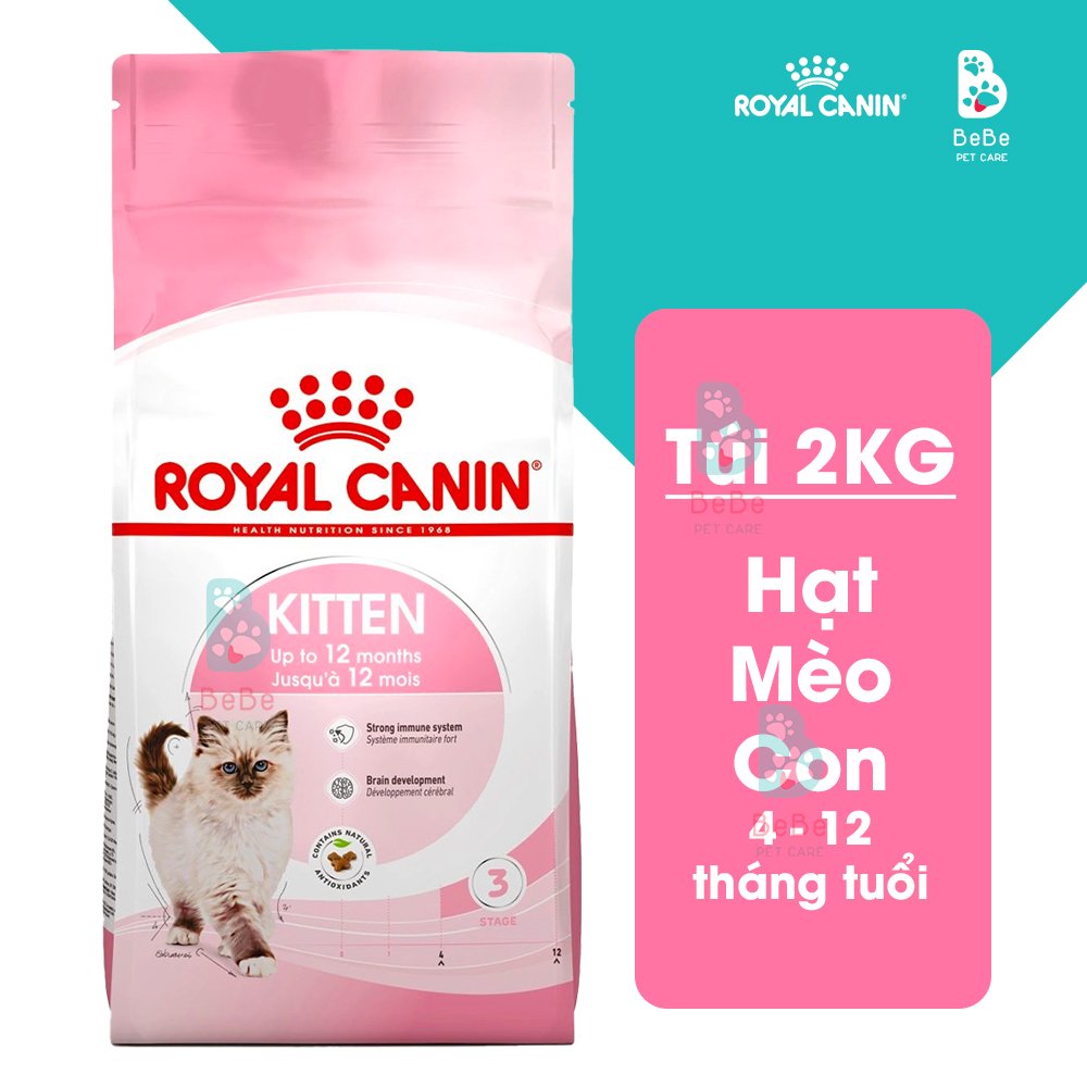 [1Kg-2Kg] Hạt ROYAL CANIN Kitten Dành Cho Mèo Con