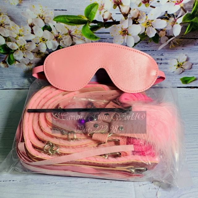Vòng Cổ Chocker - Đồ Chơi Nhập Vai Cho Cặp Đôi 10 Chi Tiết
