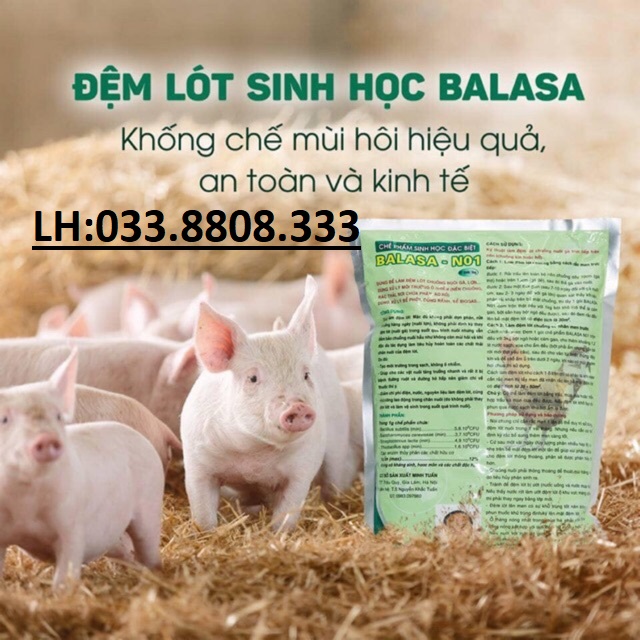 CHẾ PHẨM SINH HỌC BALASA NO1 - 1kg - Được dùng làm đệm lót trong chăn nuôi cho các loại vật nuôi- Sử dụng sản phẩm giúp hết mùi hôi thối, giảm công dọn chuồng, giảm tỷ lệ mắc bệnh ở vật nuôi