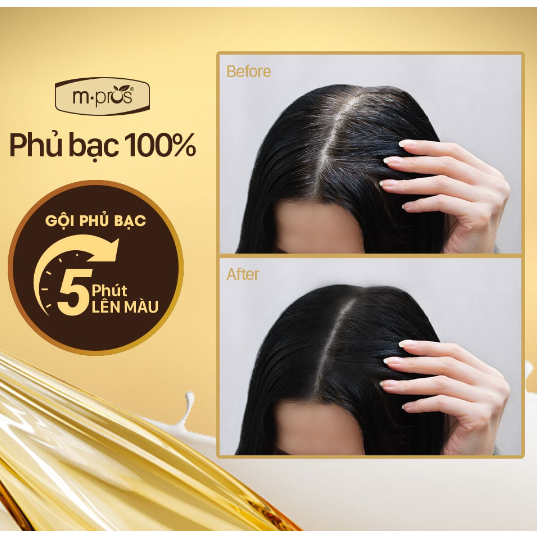 Dầu gội phủ bạc M.pros