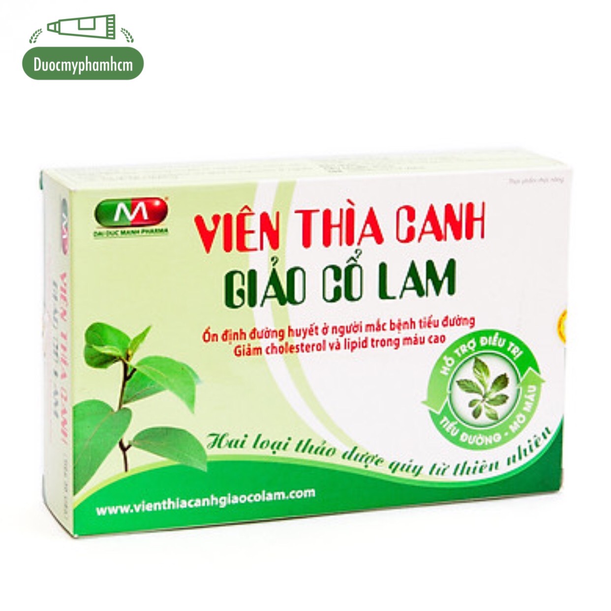 Viên thìa canh - giảo cổ lam