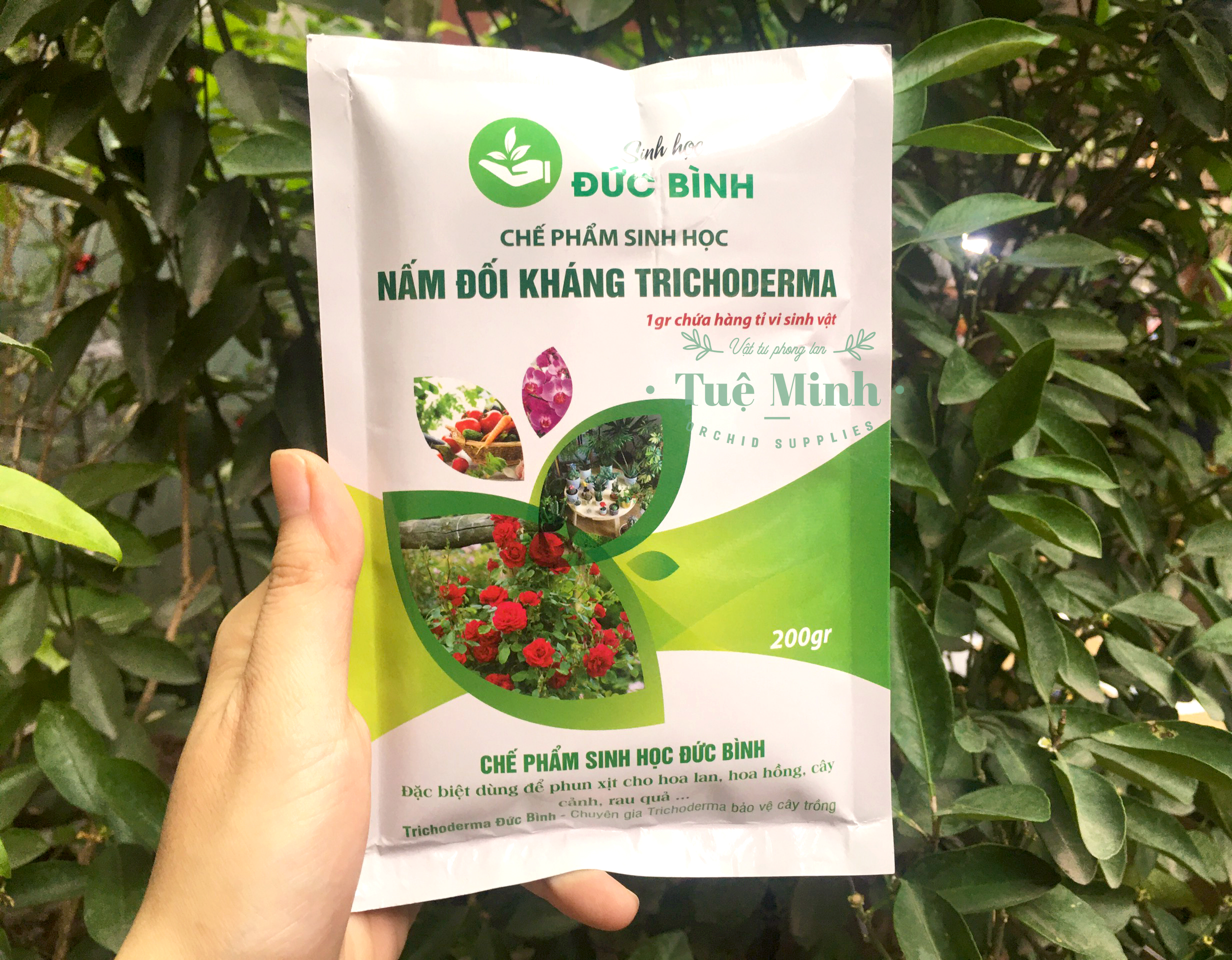 Nấm Đối Kháng Trichoderma Phòng Trừ Nấm Cho Cây Trồng