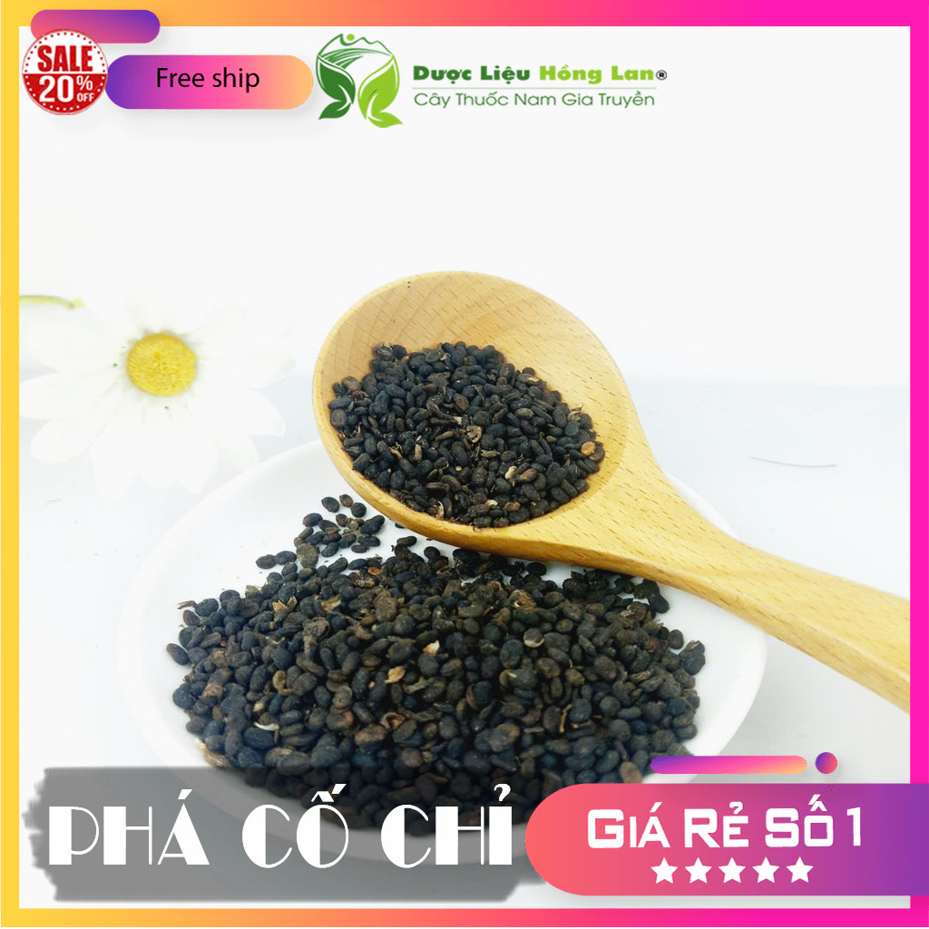 ✅[Thượng hạng] 100G Phá Cố Chỉ (Bổ Cốt Chỉ) khô sạch loại 1