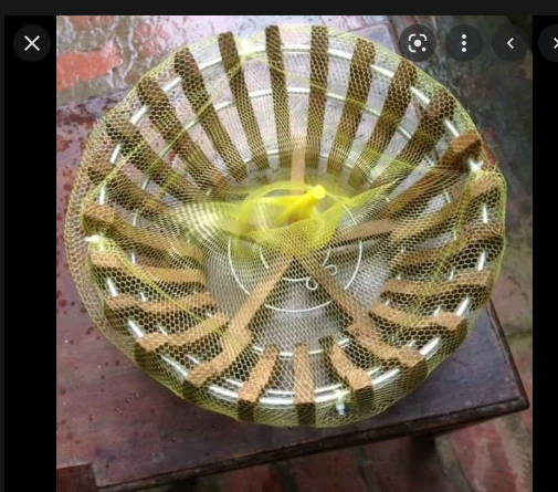 20 túi lót chậu trồng hoa lan 40cm