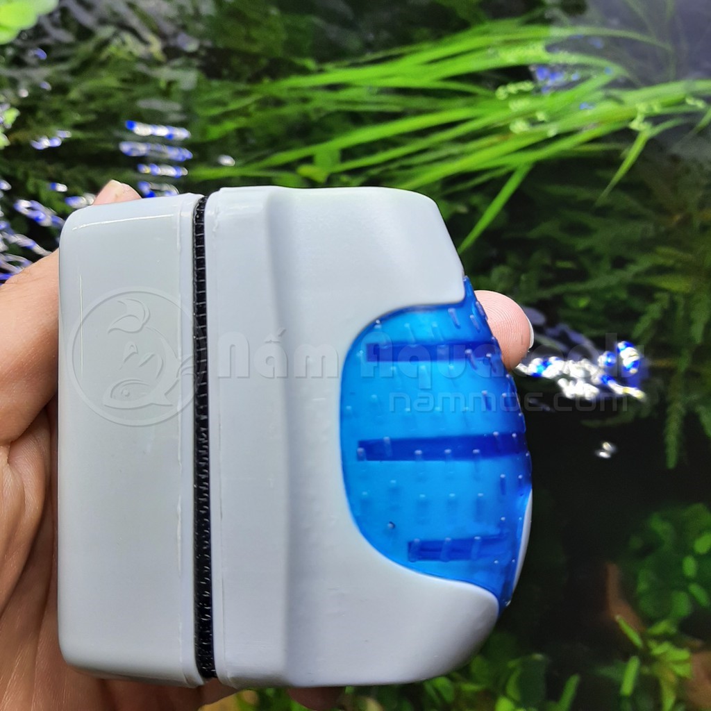 Nam châm vệ sinh hồ cá cảnh thủy sinh, bể cá cảnh mini