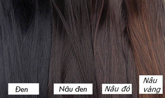 Tóc giả nữ ❤️FREESHIP❤️ Tóc ngoạm xoăn 04