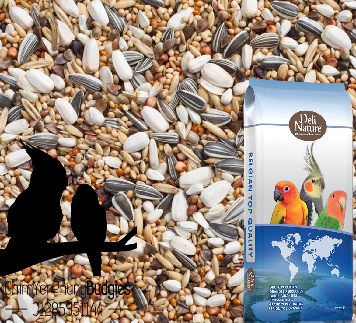 1kg hạt hỗn hợp DELI NATURE cho vẹt (SunConure, Cockatiel, Lovebird...) , xuất xứ: Bỉ