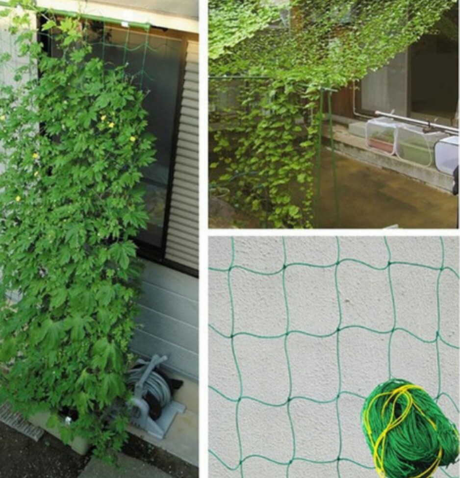 Lưới Thái làm giàn cây leo 1 x 2 mét  dây to
