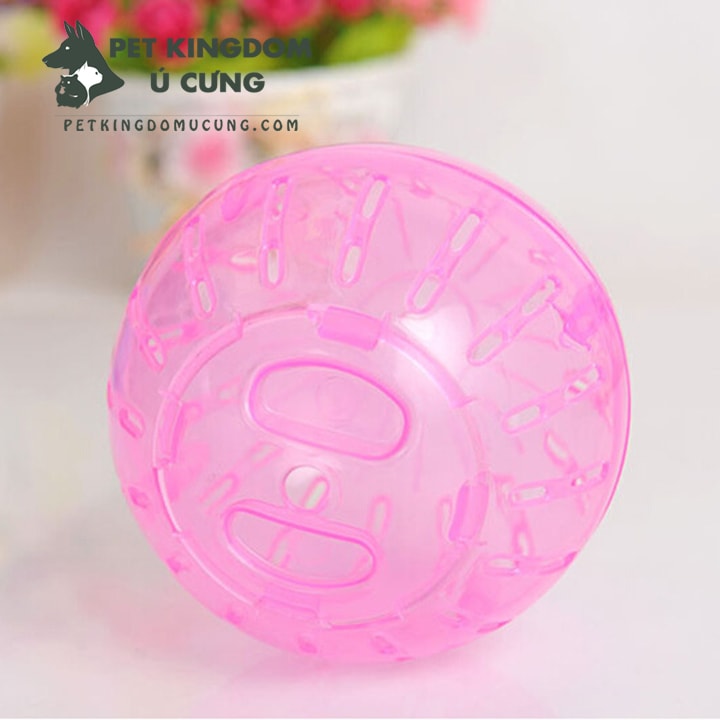 Bóng chạy hamster nhựa nhiều màu