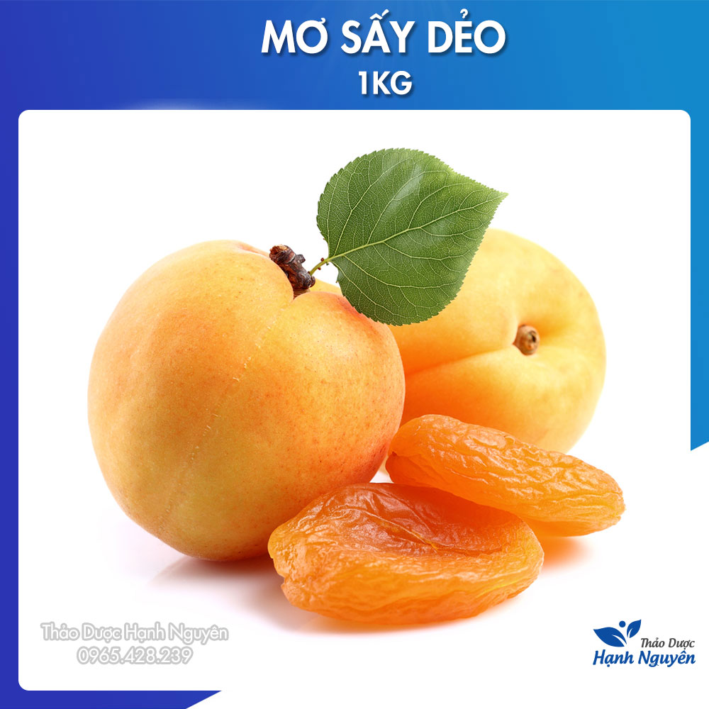 Mơ sấy dẻo không đường 1kg - Thảo Dược Hạnh Nguyên