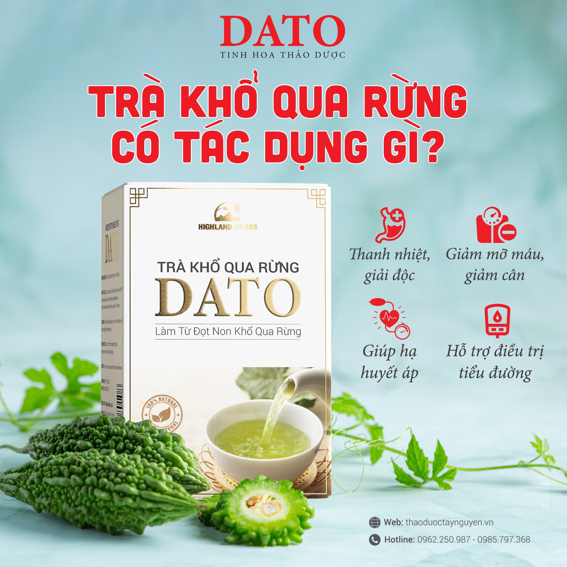 Trà khổ qua rừng DATO