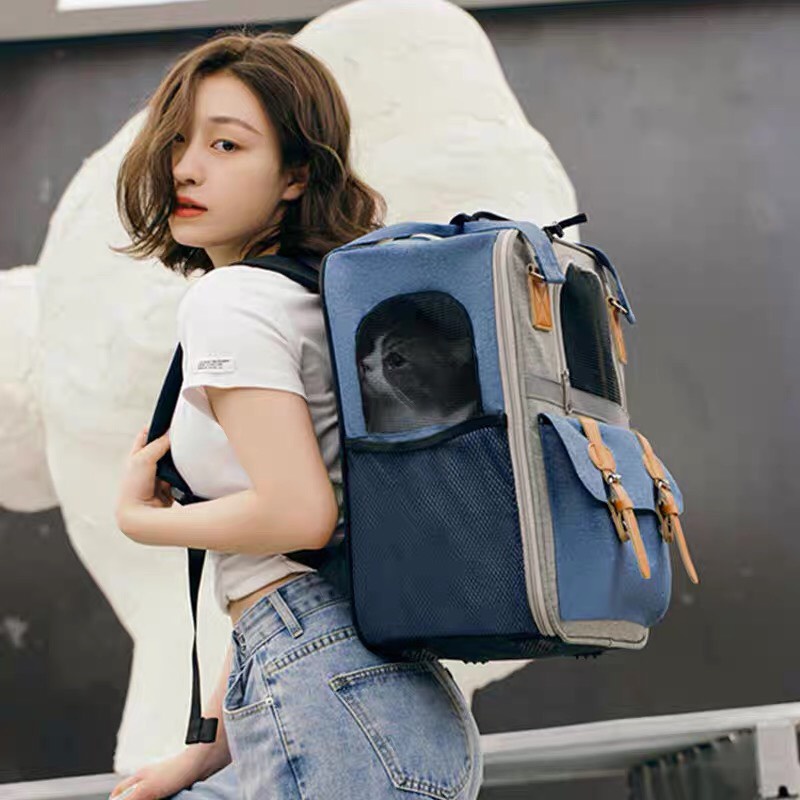 Balo cho mèo - balo đựng mèo size lớn