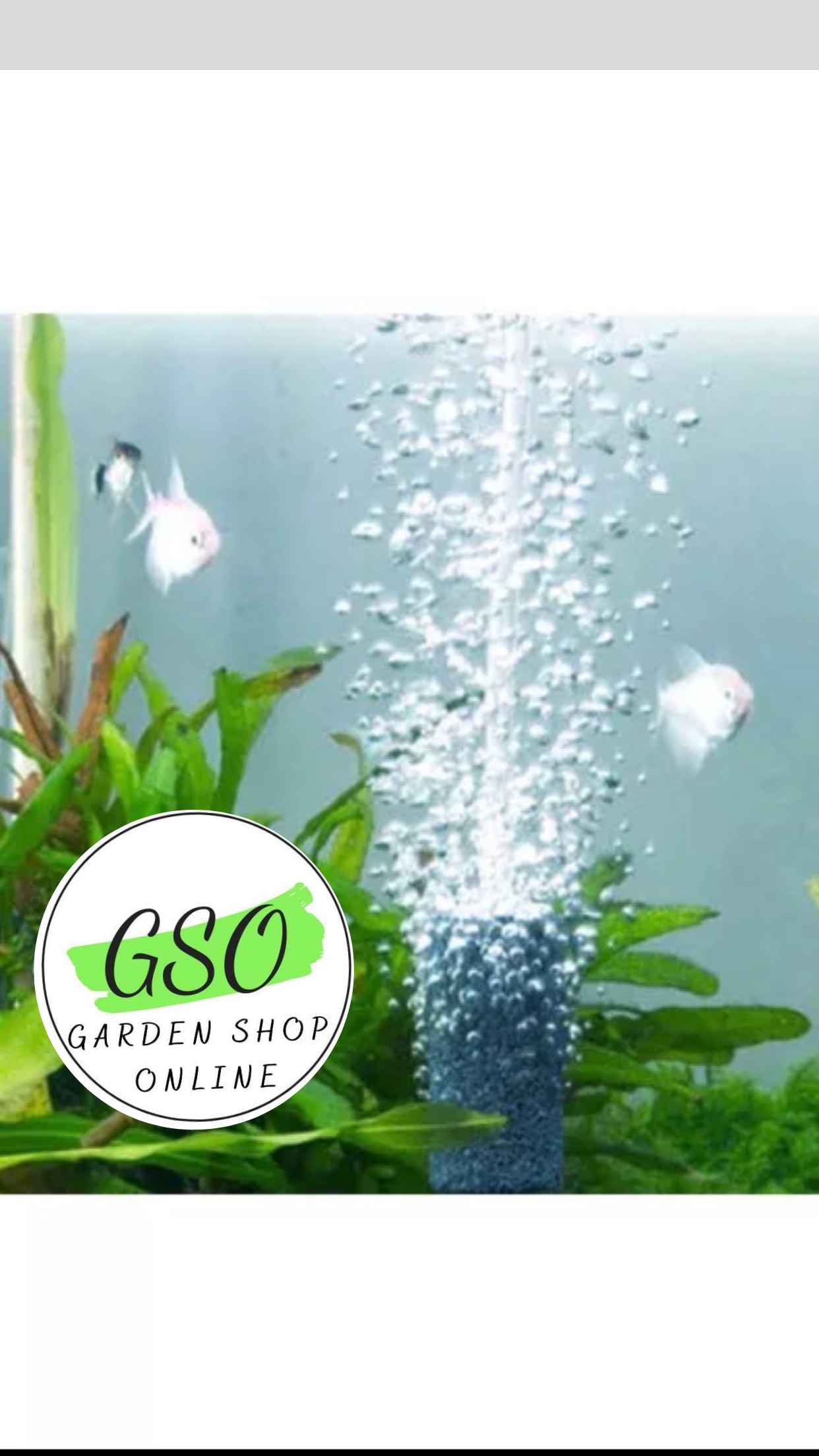 Combo 5 Viên Đá Sủi Khí Oxy