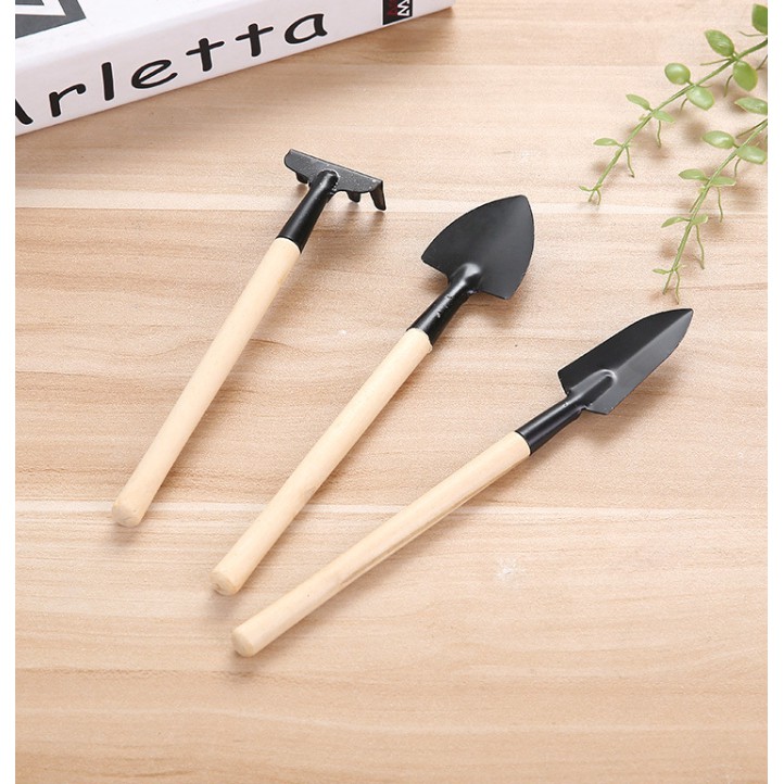 Bộ Dụng Cụ Làm Vườn Mini 3 Món Tiện Dụng A92