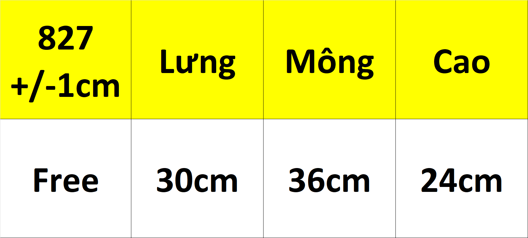 [HCM]COMBO 5 QUẦN LÓT NỮ COTTON LỤA BIG SIZE 827