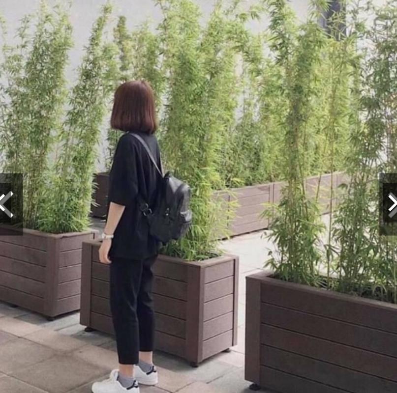Quần kate trơn form dài