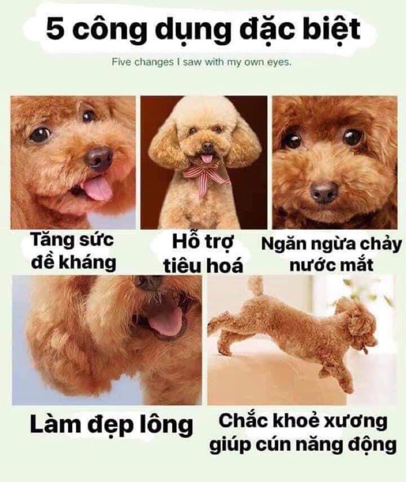 Hạt Captain -Thức ăn cho cún mix thịt bò, phô mai, cá hồi (Túi nhỏ)
