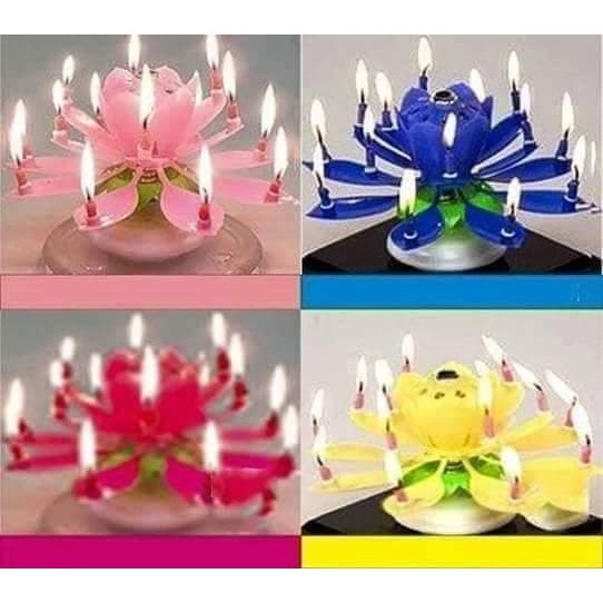 Nến sinh nhật nở hoa phát nhạc