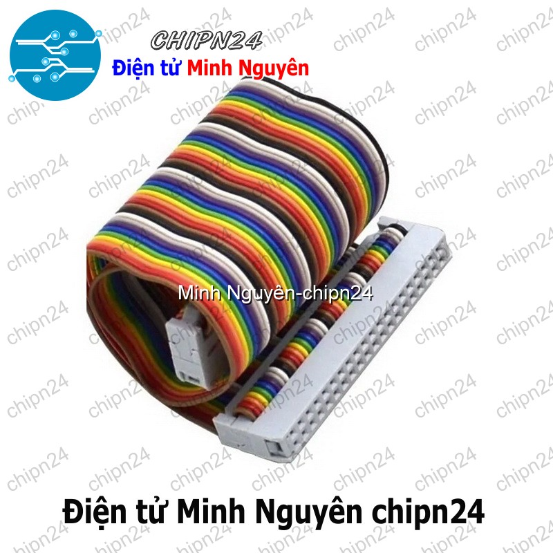[1 sợi] (D100) Dây GPIO Raspberry Pi B+ 40P - HH005890
