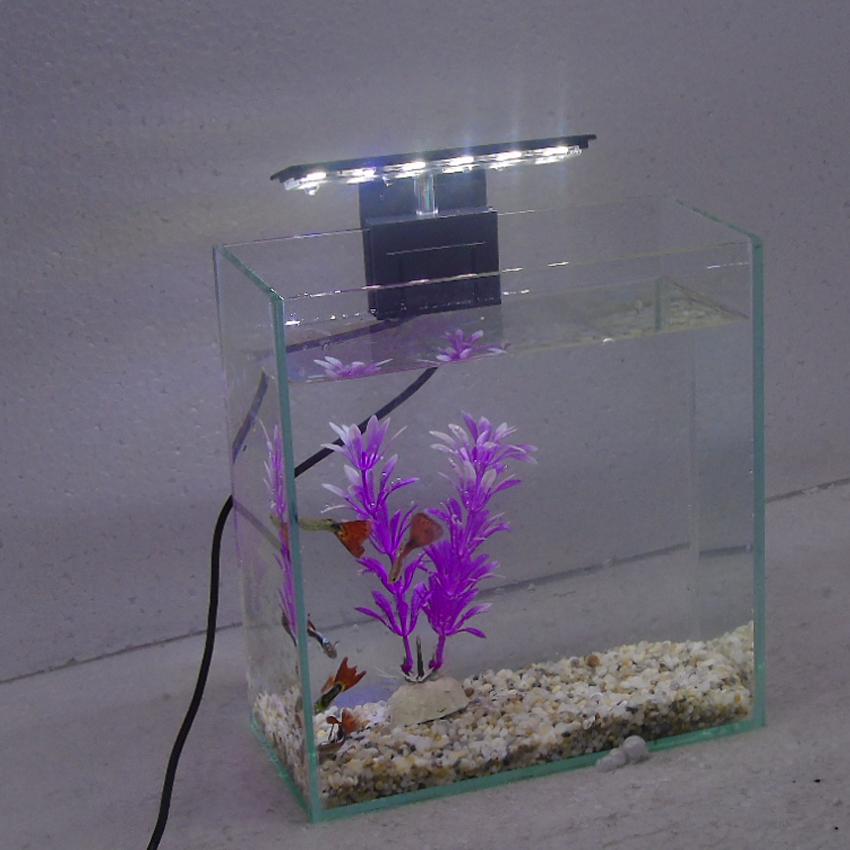 Bể cá mini để bàn 20x10x20 + Đèn Led