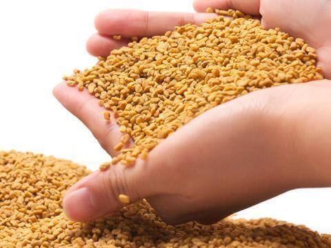 Hạt methi ấn độ hàng chuẩn 100%