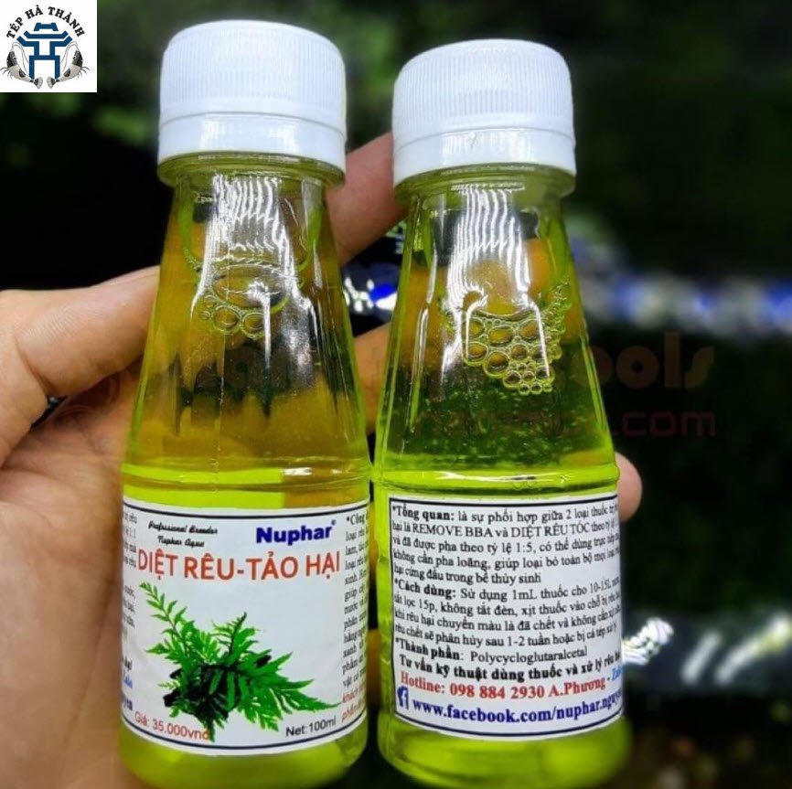 Diệt Rêu - Tảo Hại Nuphar || Dung Dịch Ức Chế Rêu Hại Cho Bể Cá Cảnh Bể Thủy Sinh