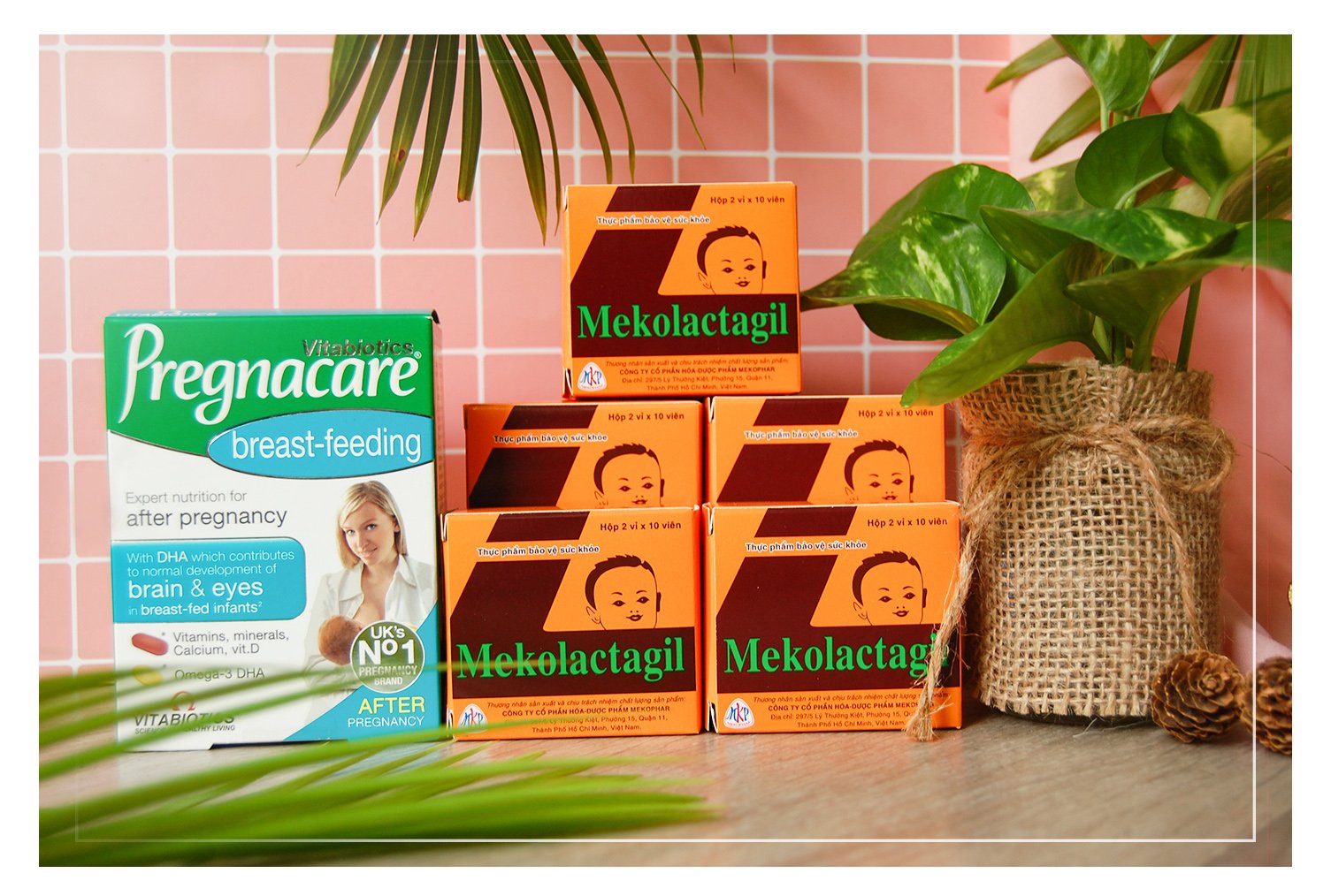 Tảo lợi sữa Mekolactagil