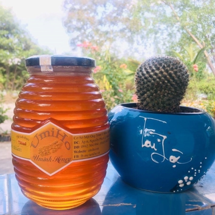 Hũ Thủy Tinh 750ML (combo 2 cái) mẫu con ong nắp thiếc đen – Hủ Thủy Tinh 750ML - Lọ Thủy Tinh 750ML - đựng mật ong yến chưng - Hũ Gia Vị