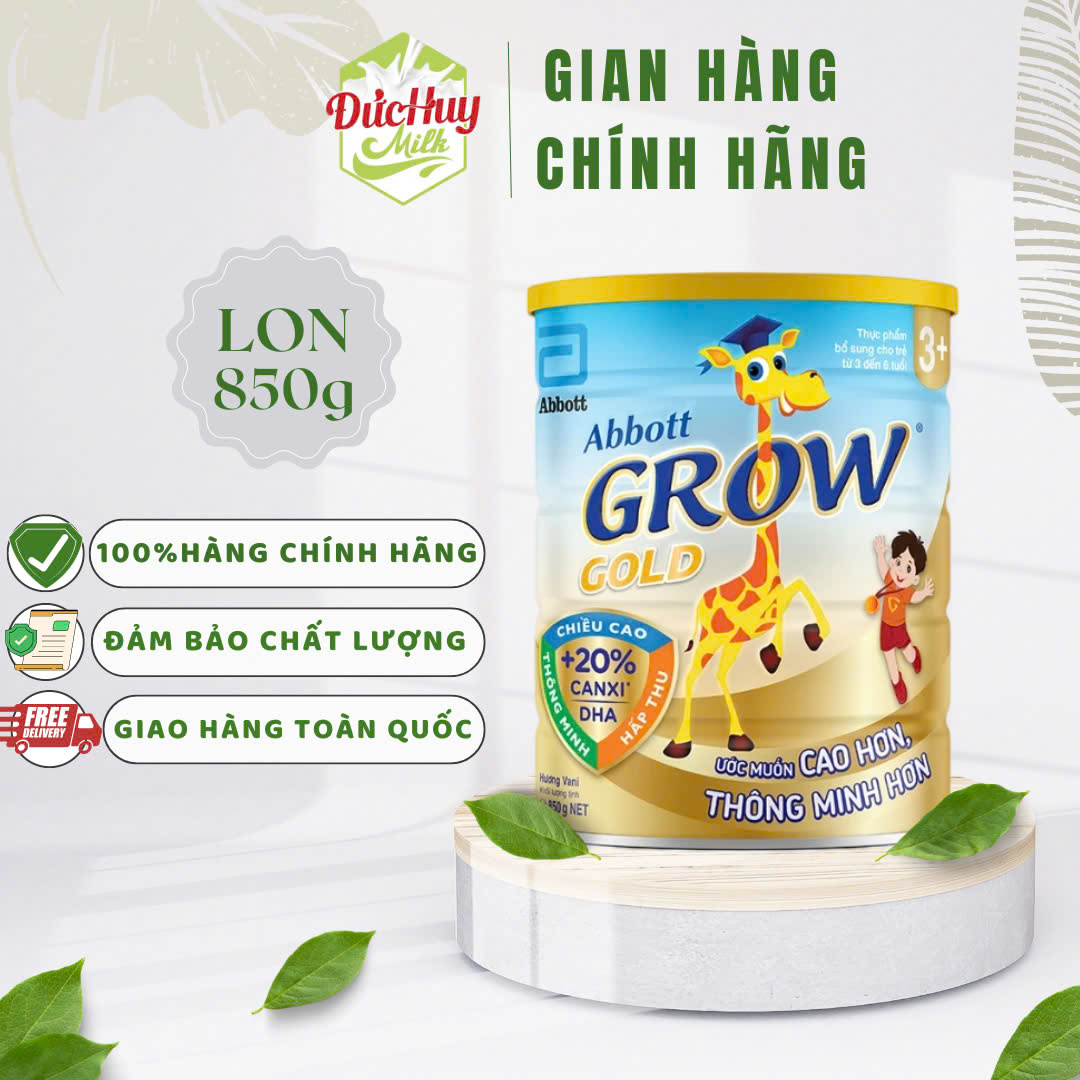 Abbott Grow Gold 6+ Vanilla Milk Powder 800g for over 6 Years Old)