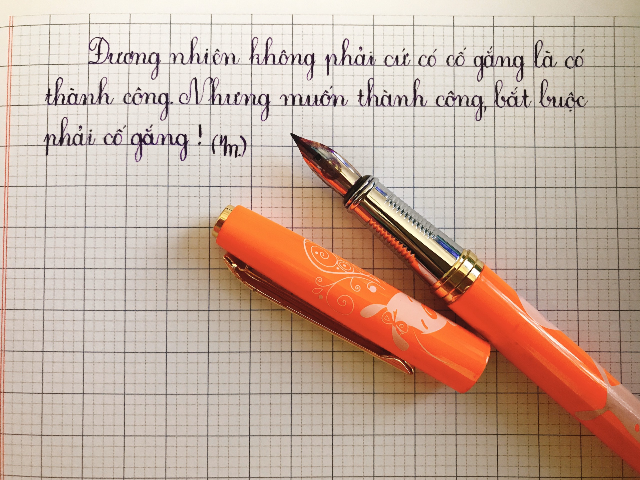 🍂 Bút máy LeTa 033 ngòi mài thanh đậm