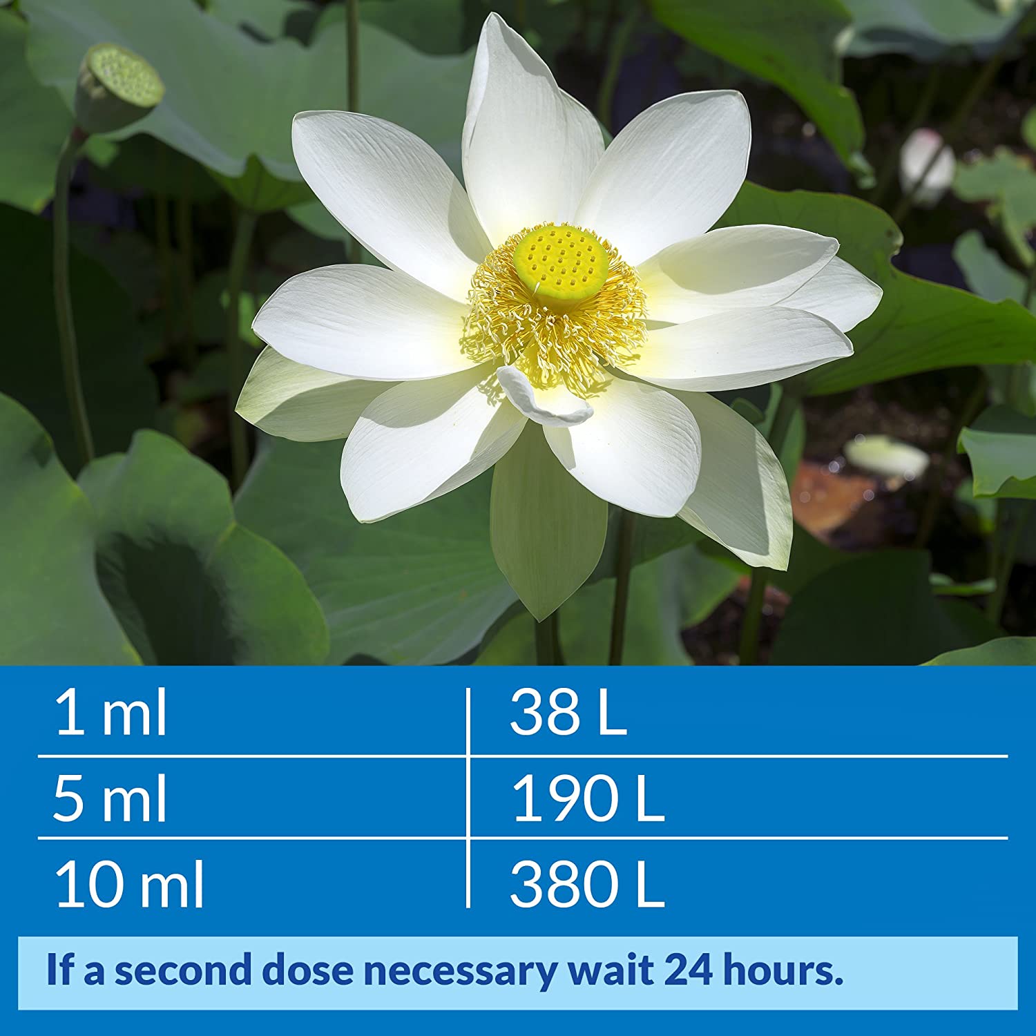 API - Accu Clear (Pond) - Làm trong cấp tốc nước ngọt