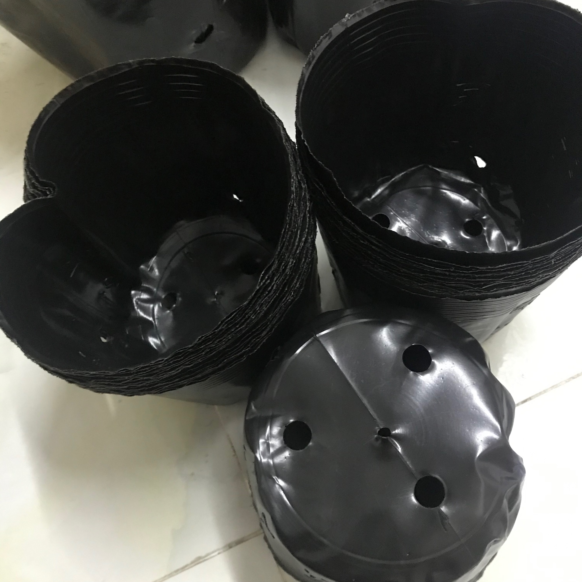 1kg bầu ươm cây 18.16(140 cái/kg)