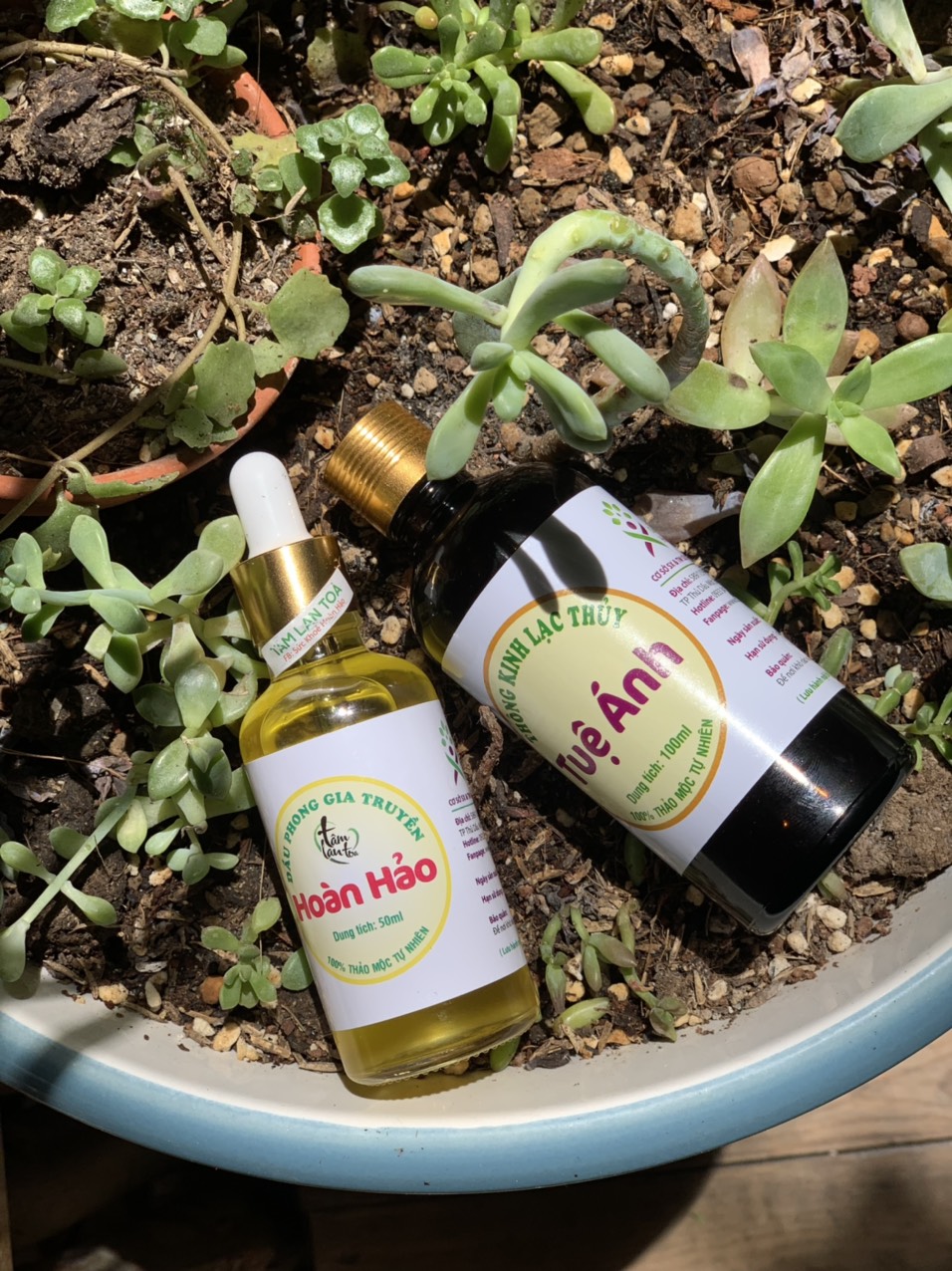 DẦU PHONG HOÀN HẢO 100ml