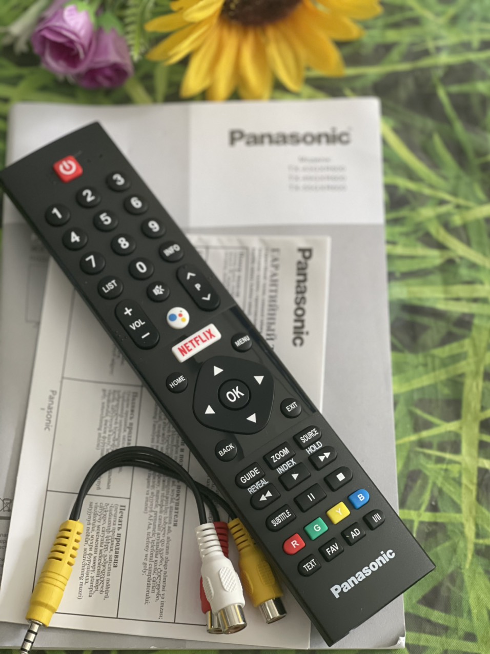 Remote tivi Panasonic giọng nói