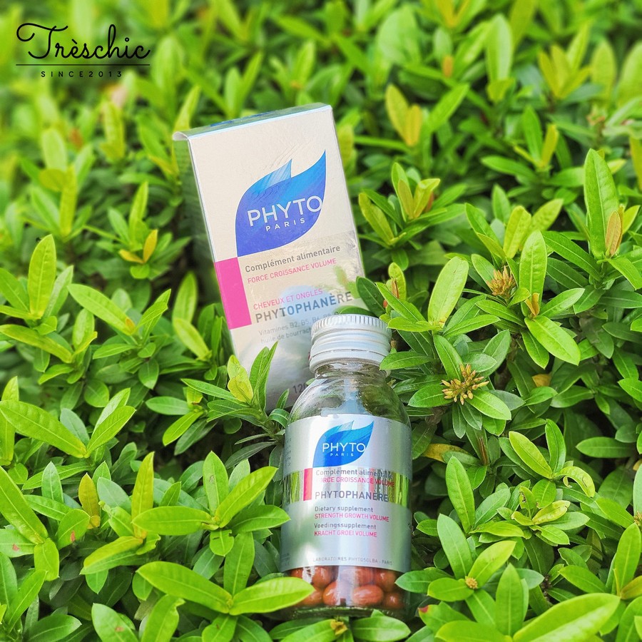 Viên Uống Mọc Tóc Phyto (120V)