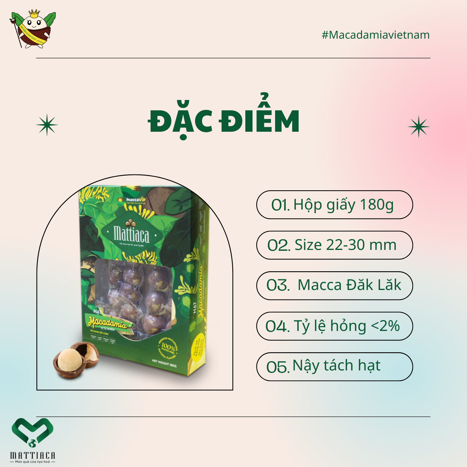 Box 180g macadamia nut Daklak - MaccaVIP (natural crack, size 22-30mm)