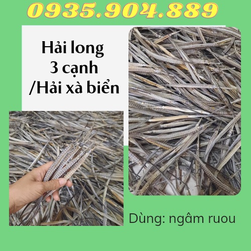 {Tặng 2 con sao biển} + 2 con Hải Long 3 cạnh/Hải xà biển khô