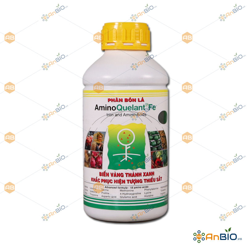 [HCM]Phân bón bổ sung SẮT VI LƯỢNG AminoQuelant-Fe chai 1 Lít - C5.1028