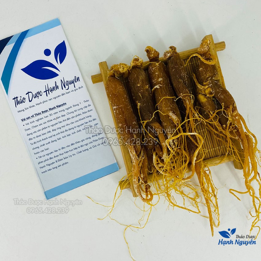 Nhị Hồng Sâm (Nhân Sâm, Sâm Râu) 100g - Nguyên chất không tẩm mật ong