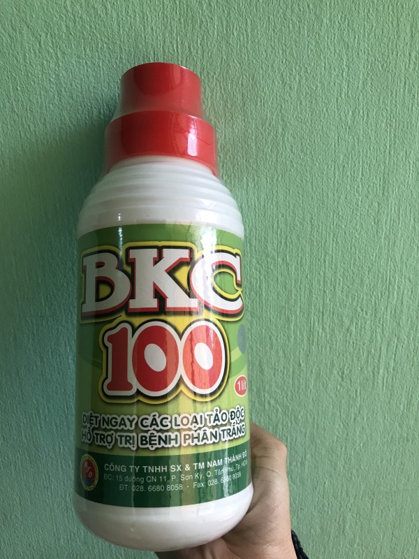 Sản phẩm BKC 100 chuyên diệt các loại tảo độc, hỗ trợ trị bệnh phân trắng