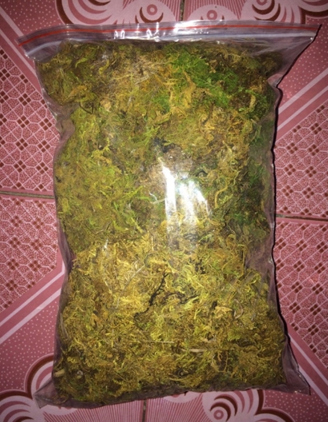 Túi 200g rêu rừng khô