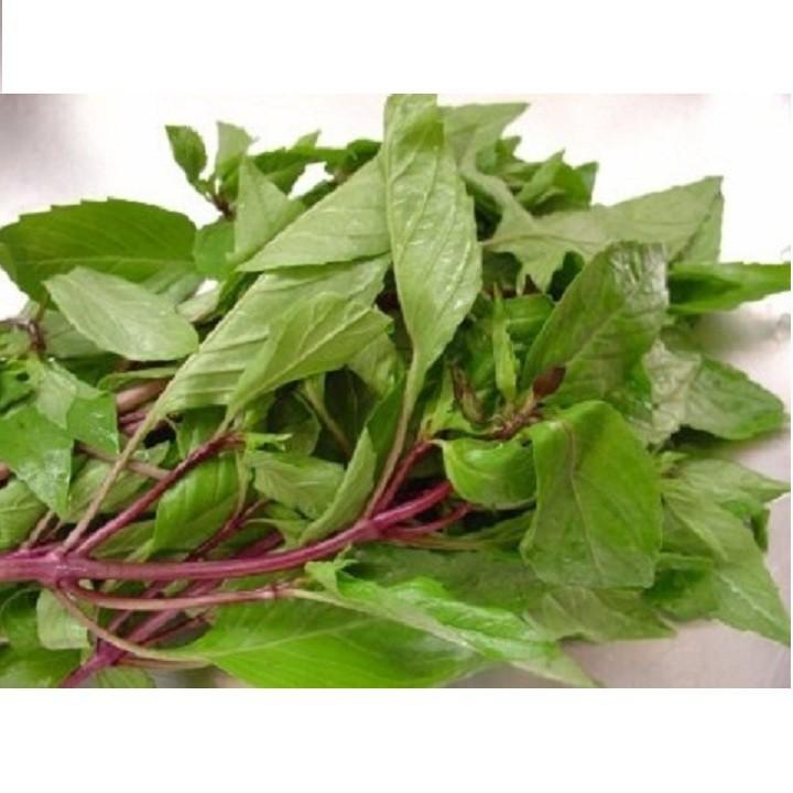 Hạt Giống Rau Quế - 10Gram