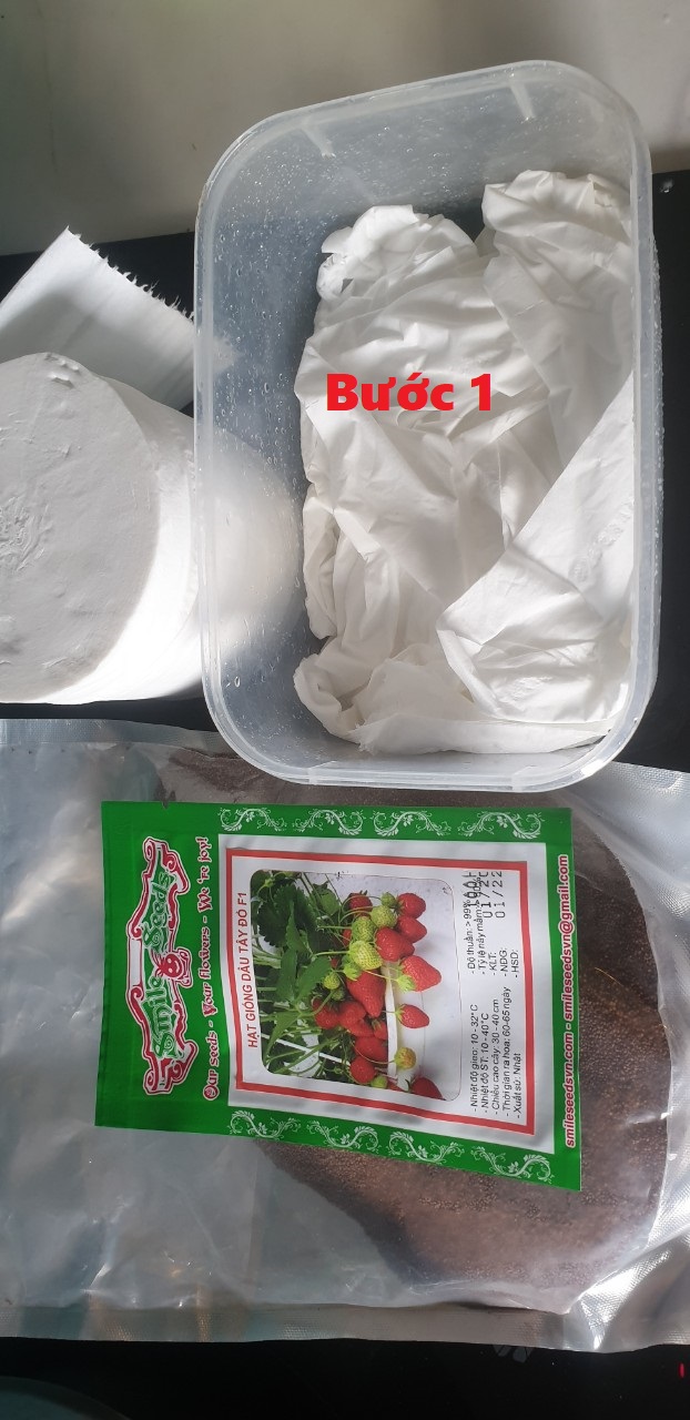 Hạt giống Sâm Hàn Quốc - 5 Hạt