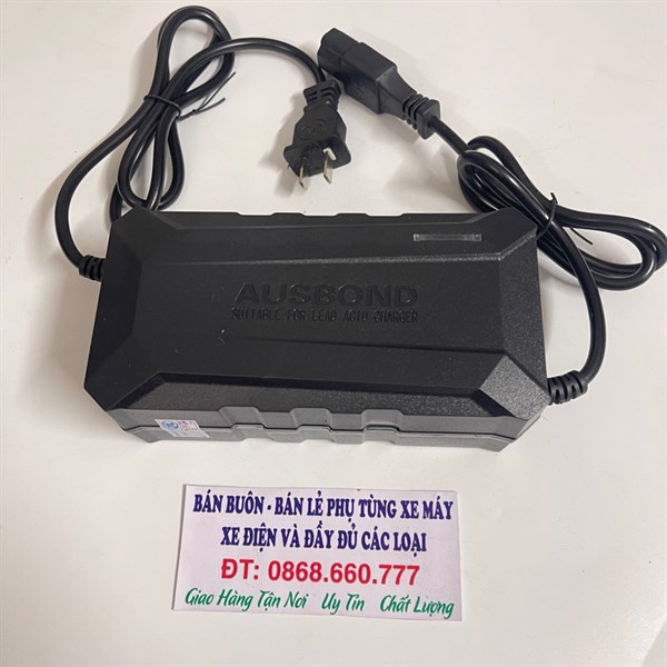 Sạc xe điện 12-48v