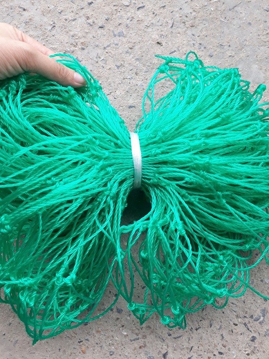 Lưới giàn mướp, giàn dưa leo(mắt lưới 20x20cm) size 2m x 5m
