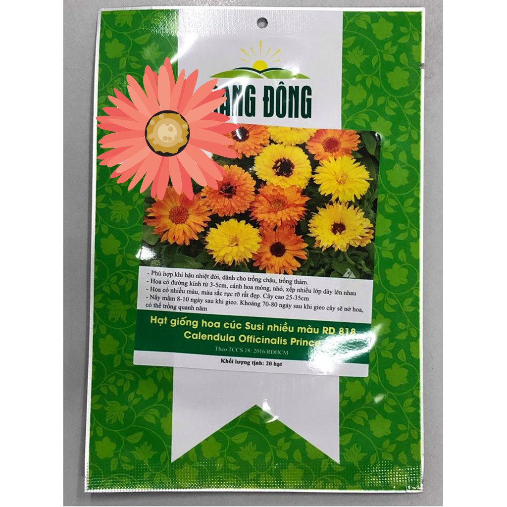 Hạt Giống Hoa Cúc Susi Nhiều Màu 20 hạt