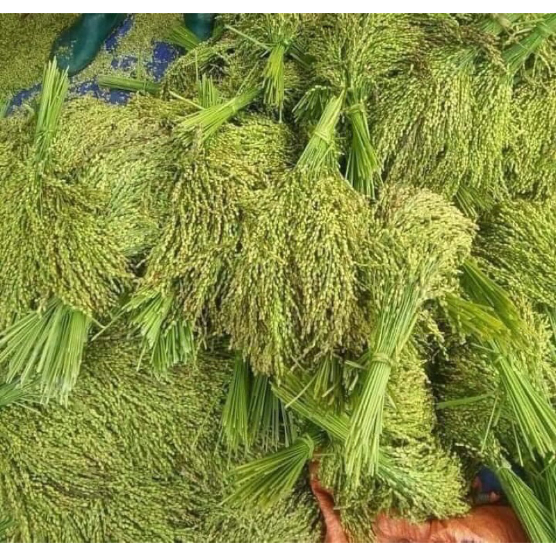 Cốm khô Tây Bắc - cốm khô dẻo thơm ngon gói 1kg