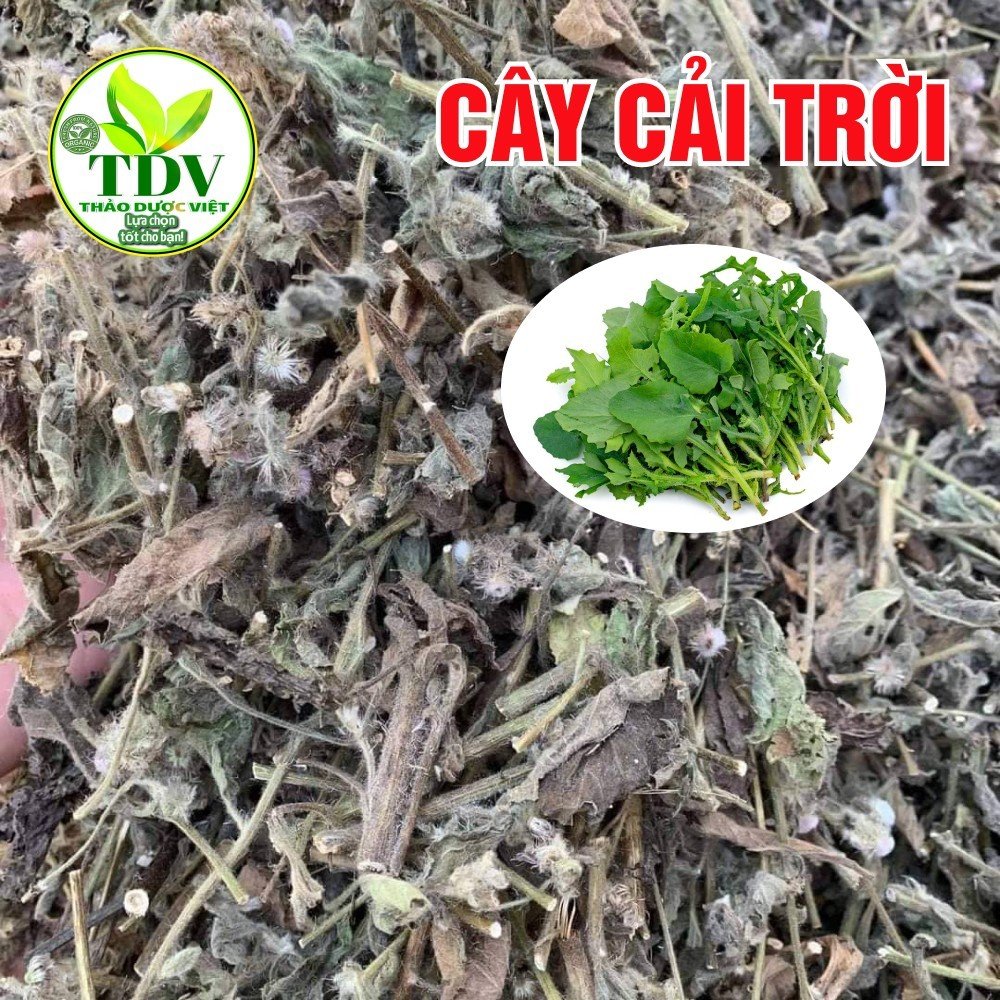 1kg cây cải trời khô, sạch tốt cho người bướu cổ